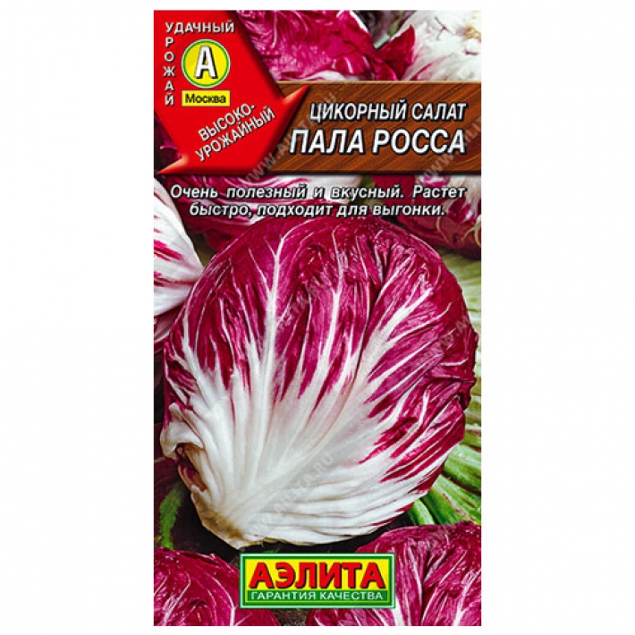 Цикорный салат Пала Росса