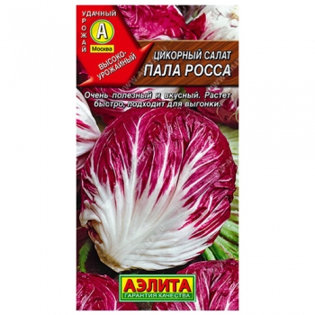 Цикорный салат Пала Росса