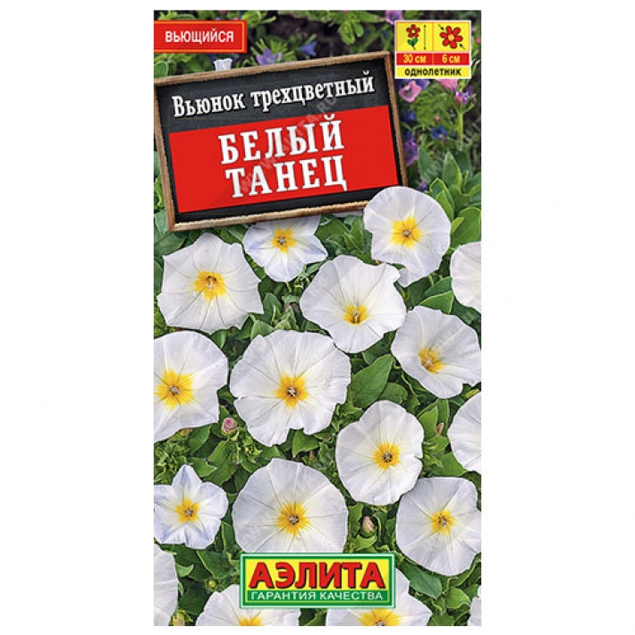 Вьюнок Белый танец