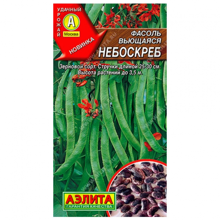 Фасоль вьющаяся Небоскреб