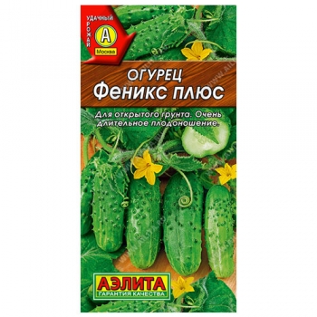 Огурец Феникс плюс