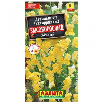 Львиный зев Высокорослый желтый