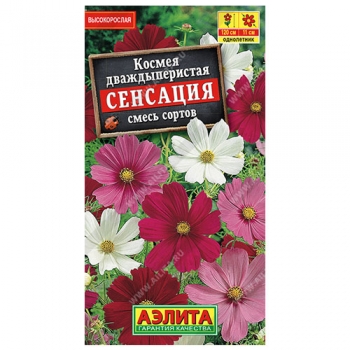 Космея Сенсация, смесь сортов