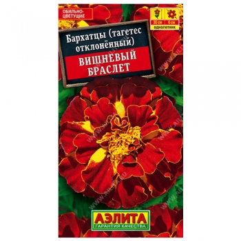 Бархатцы Вишневый браслет отклоненные