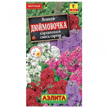 Левкой карликовый Дюймовочка, смесь сортов