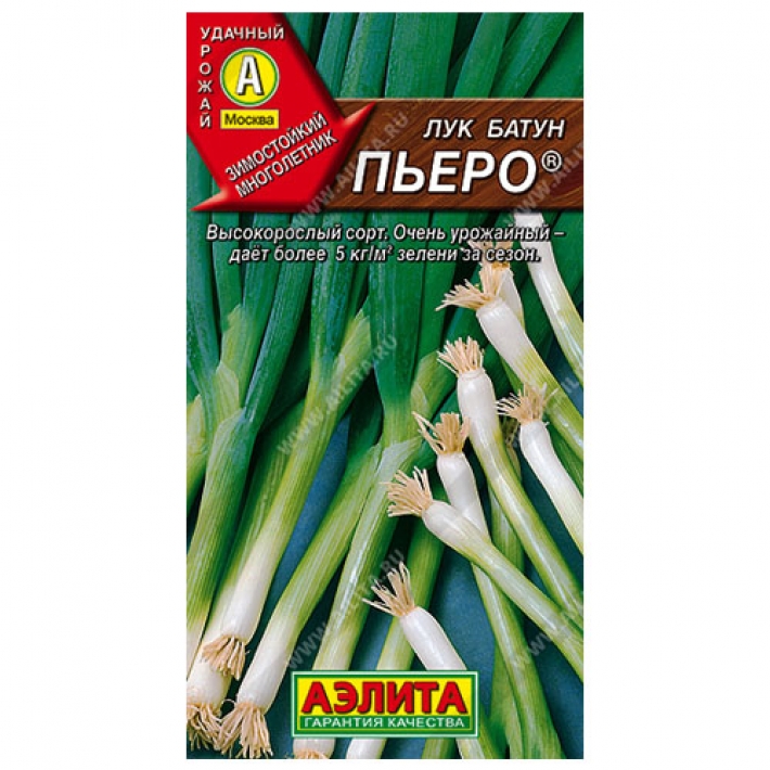 Лук батун Пьеро &reg;