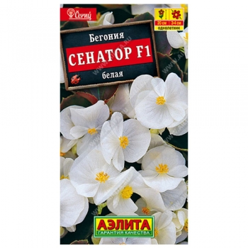 Бегония вечноцветущая Сенатор белая F1