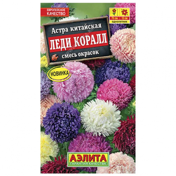 Астра Леди Коралл, смесь окрасок