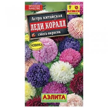 Астра Леди Коралл, смесь окрасок