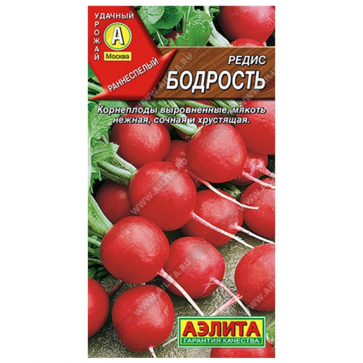 Редис Бодрость