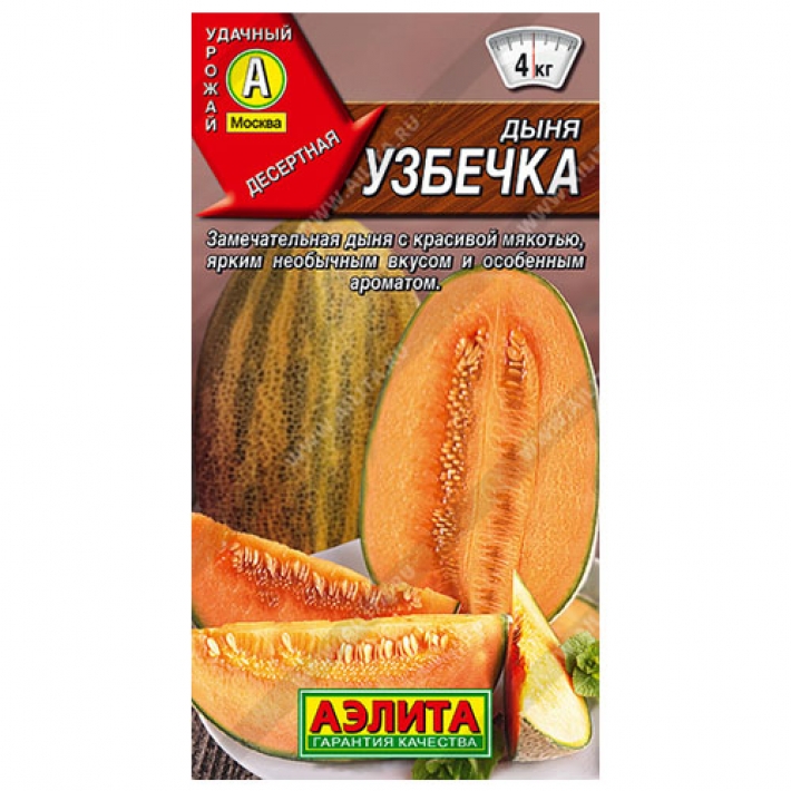 Дыня Узбечка