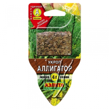 Укроп Аллигатор