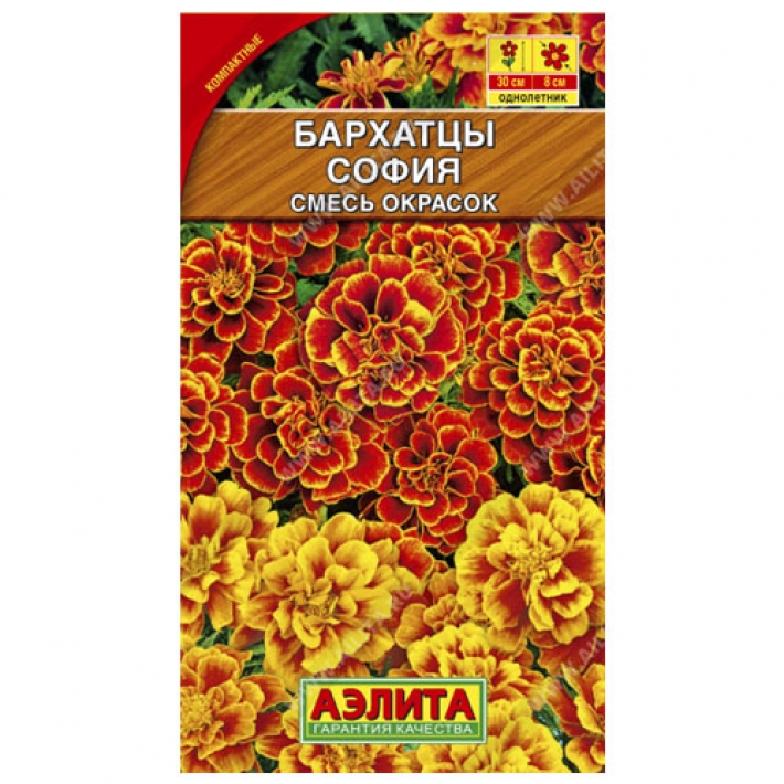 Бархатцы София, смесь окрасок