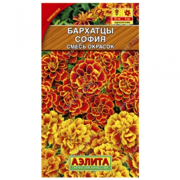 Бархатцы София, смесь окрасок