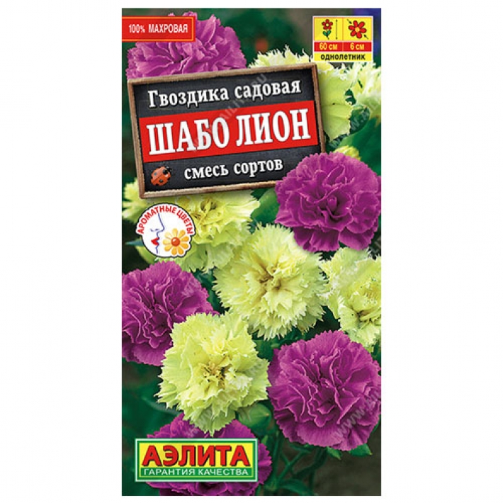 Гвоздика садовая Шабо Лион, смесь сортов
