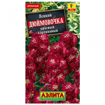 Левкой карликовый Дюймовочка красный