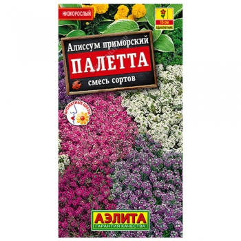 Алиссум Палетта, смесь сортов