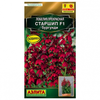 Лобелия Старшип F1 бургунди