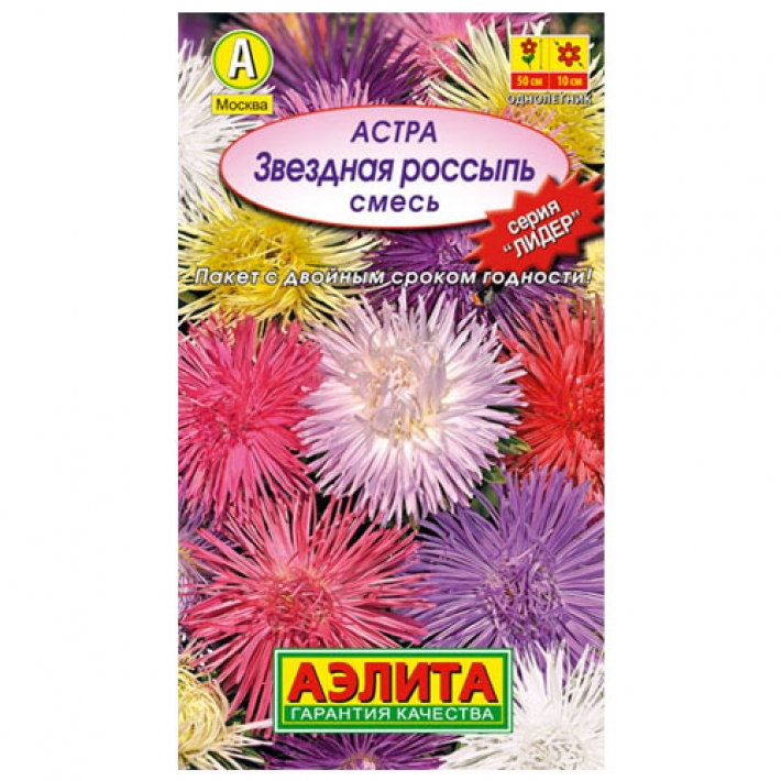 Астра Звездная россыпь, смесь окрасок