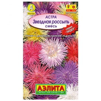Астра Звездная россыпь, смесь окрасок
