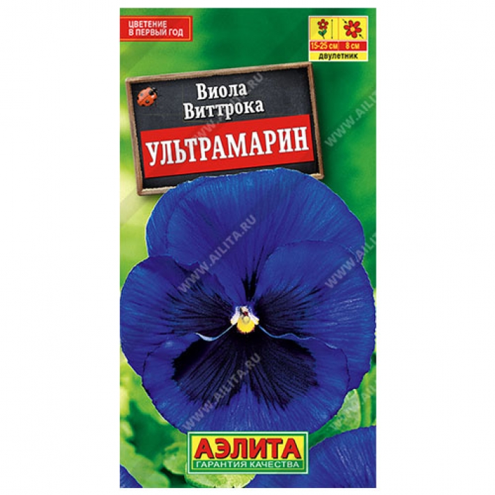 Виола Ультрамарин