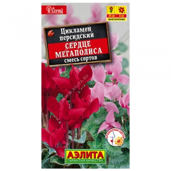 Цикламен персидский Сердце мегаполиса, смесь сортов