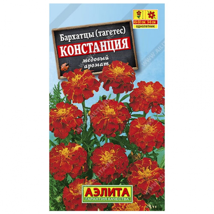 Бархатцы Констанция гибридные