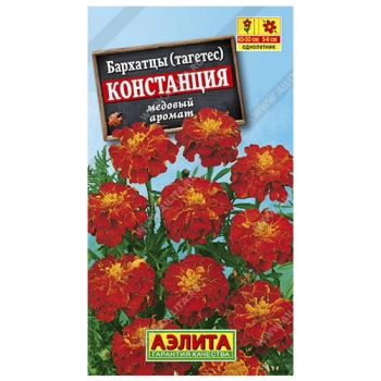Бархатцы Констанция гибридные