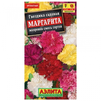 Гвоздика садовая Маргарита махровая, смесь сортов