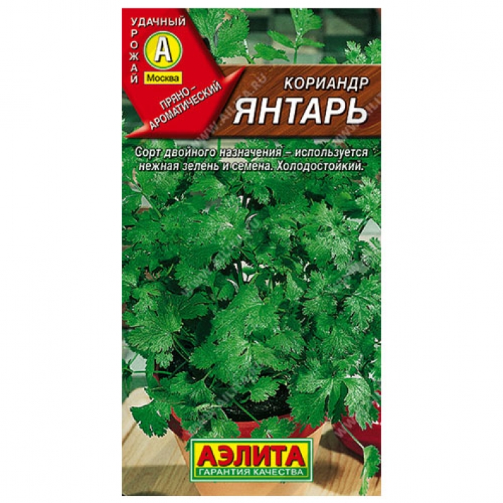 Кориандр Янтарь