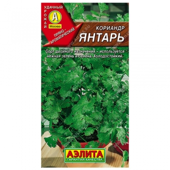 Кориандр Янтарь