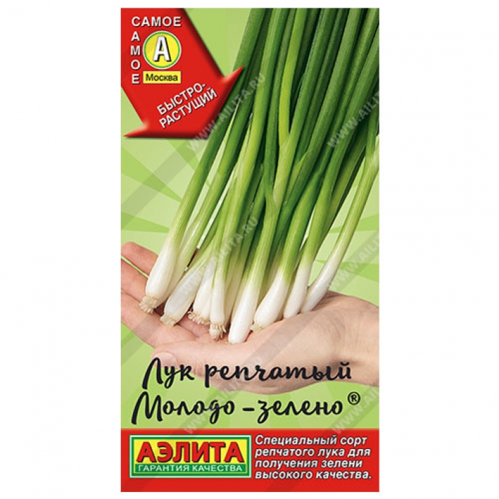 Лук репчатый Молодо-зелено ®