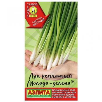 Лук репчатый Молодо-зелено ®