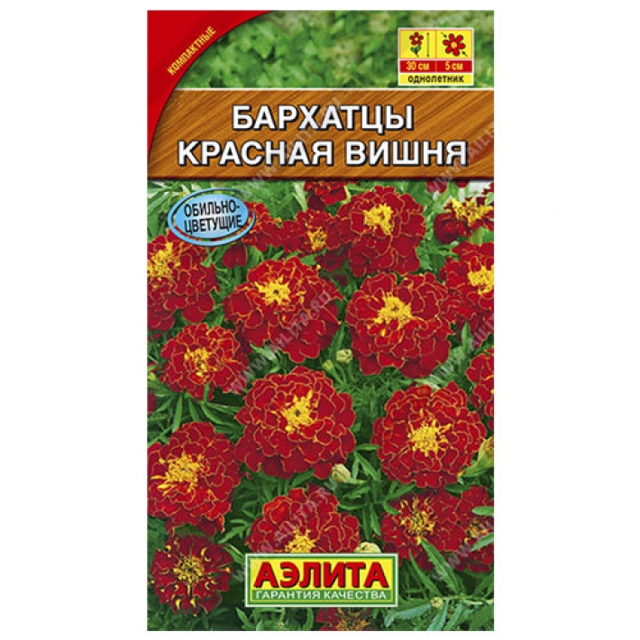 Бархатцы Красная вишня отклоненные