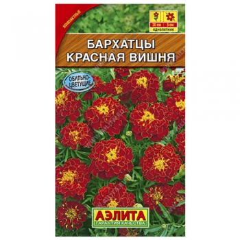 Бархатцы Красная вишня отклоненные