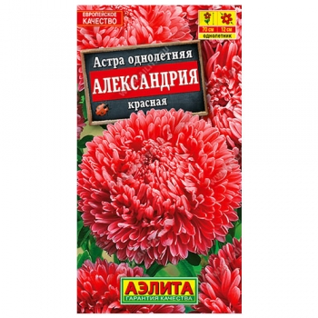 Астра Александрия красная