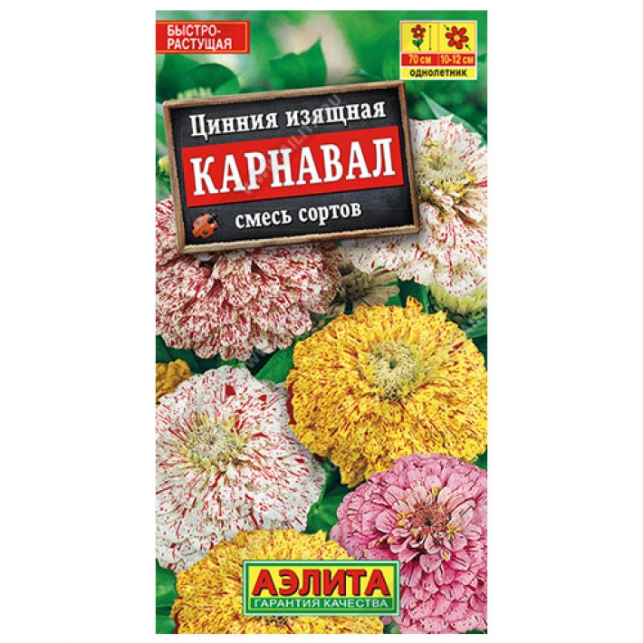 Цинния Карнавал, смесь сортов
