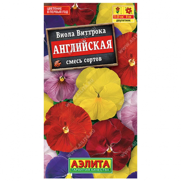 Виола Английская, смесь сортов