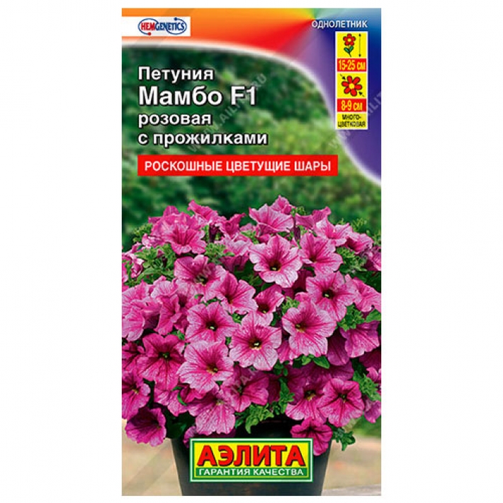 Петуния Мамбо F1 розовая с прожилками многоцветковая