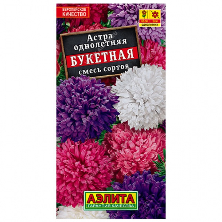 Астра Букетная, смесь окрасок