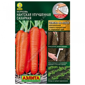 Морковь Нантская улучшенная сахарная