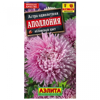 Астра Аполлония яблоневый цвет