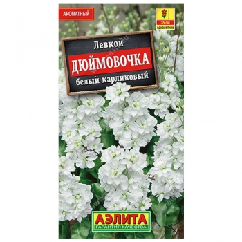 Левкой карликовый Дюймовочка белый