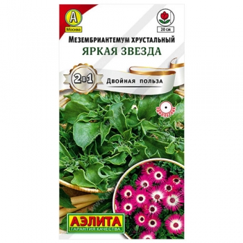 Мезембриантемум Яркая звезда
