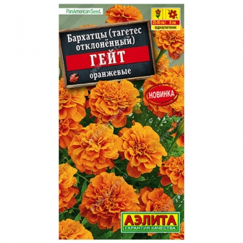 Бархатцы Гейт оранжевые отклоненные
