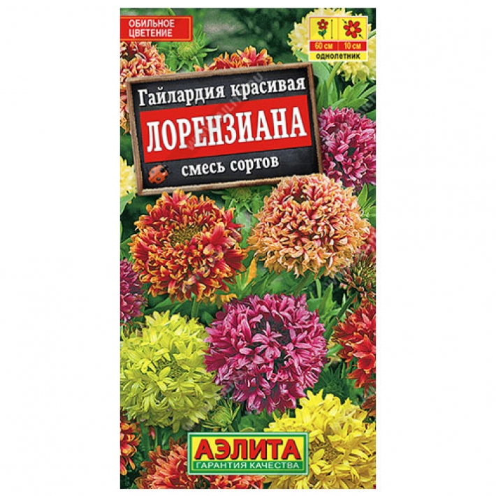 Гайлардия Лорензиана, смесь сортов