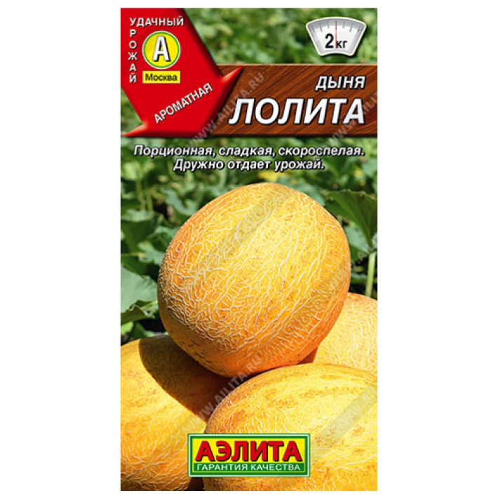 Дыня Лолита