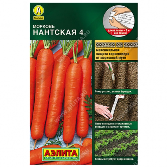 Морковь Нантская 4