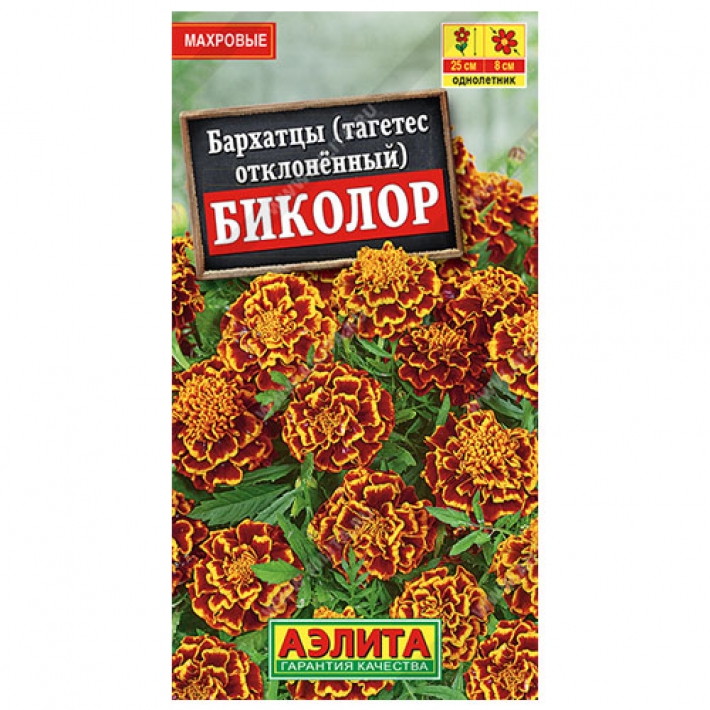 Бархатцы Биколор отклоненные