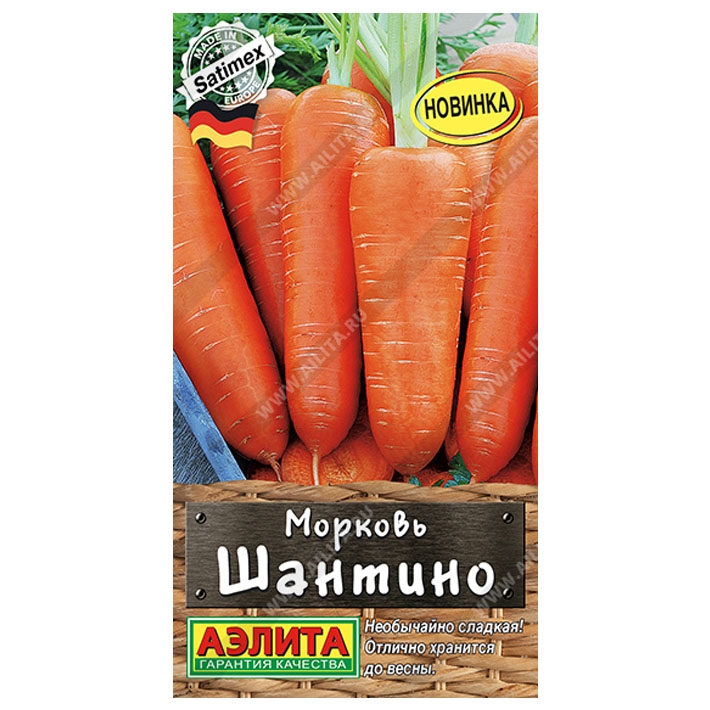 Морковь Шантино